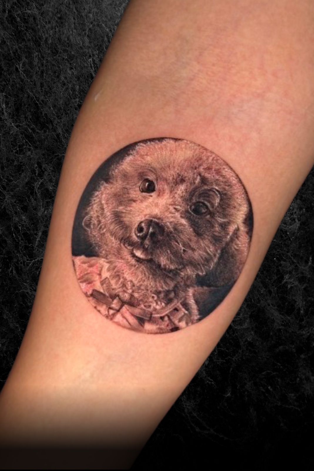Pet tattoo